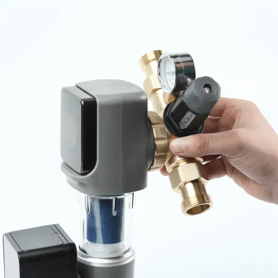 Filtru cu purjare automata, Ecosoft TXHES3, conexiune 1