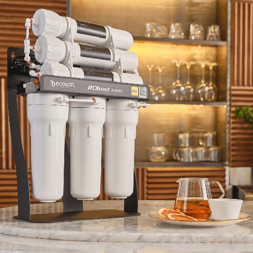 Osmoza inversa profesionala, Ecosoft Robust Mini, debit 60 litri/ora, 3 membrane x 100 GPD