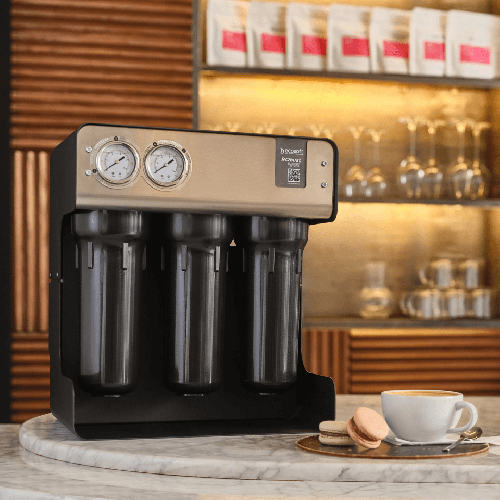 Osmoza inversa profesionala, Ecosoft RoBust 1500, debit direct 90 litri/ora, membrana 500 GPD, pompa booster