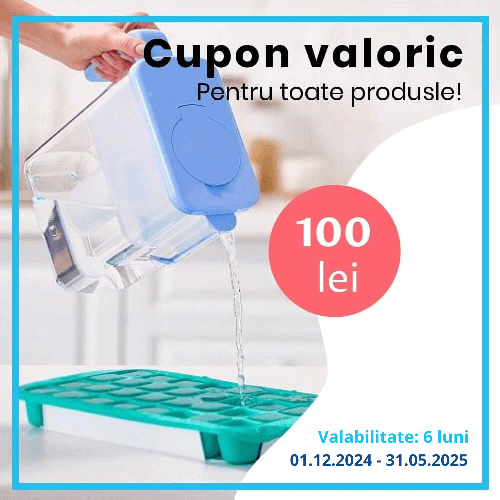 Cupon valoric de 100 lei, valabil 6 luni, pentru comenzi online