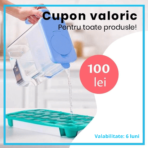 Cupon valoric de 100 lei, valabil 6 luni, pentru comenzi online