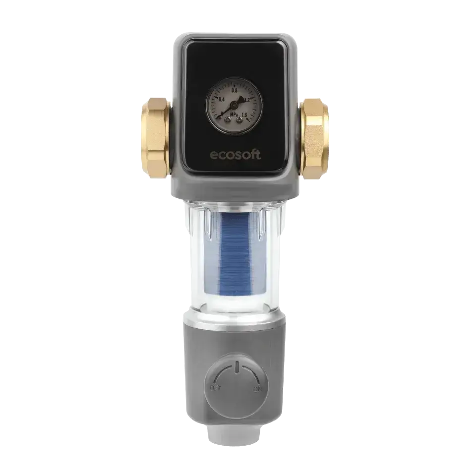 Filtru cu purjare manuala, Ecosoft TXHES2, conexiune 1