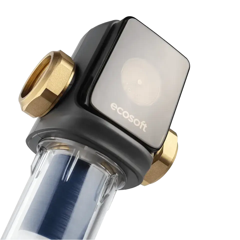 Filtru cu purjare manuala, Ecosoft TXHES2, conexiune 1