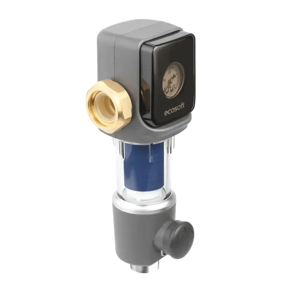 Filtru cu purjare manuala, Ecosoft TXHES2, conexiune 1