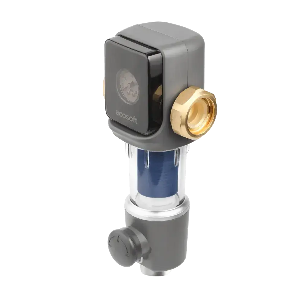 Filtru cu purjare manuala, Ecosoft TXHES2, conexiune 1