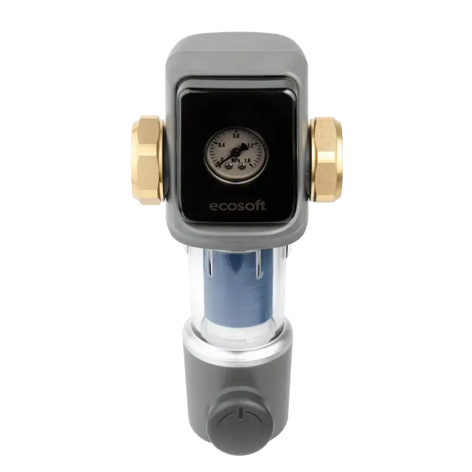 Filtru cu purjare manuala, Ecosoft TXHES2, conexiune 1