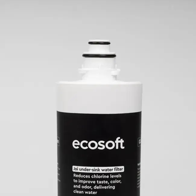 Filtru de schimb cu carcasa, Ecosoft JOI, cartus 2 in 1 cu polipropilena si carbune activat