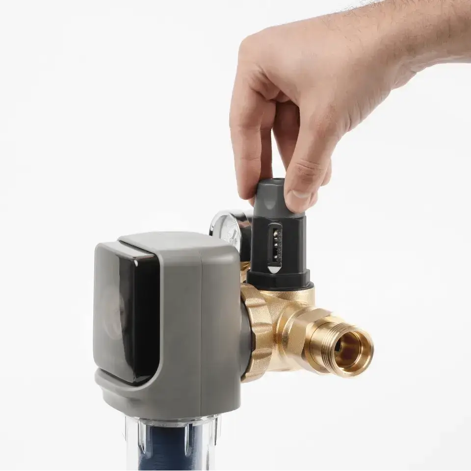 Filtru cu purjare automata, Ecosoft TXHES3, conexiune 1